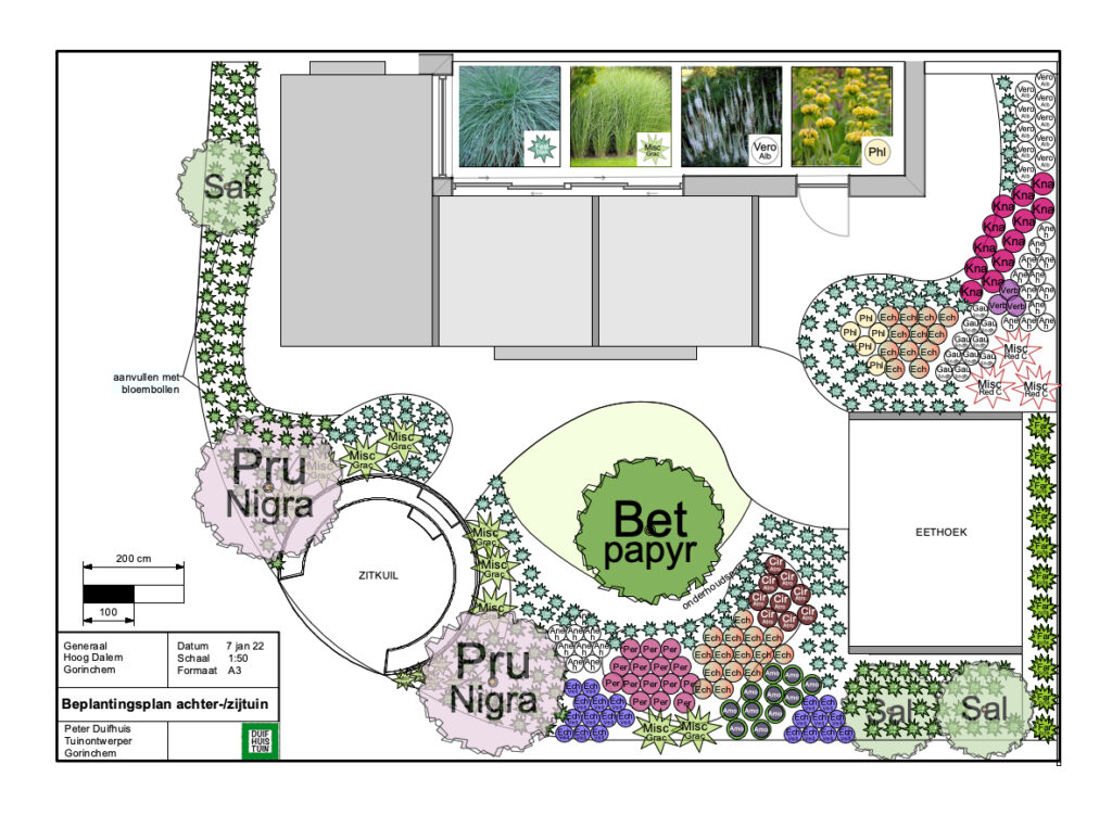 beplantingsplan van duifhuistuin