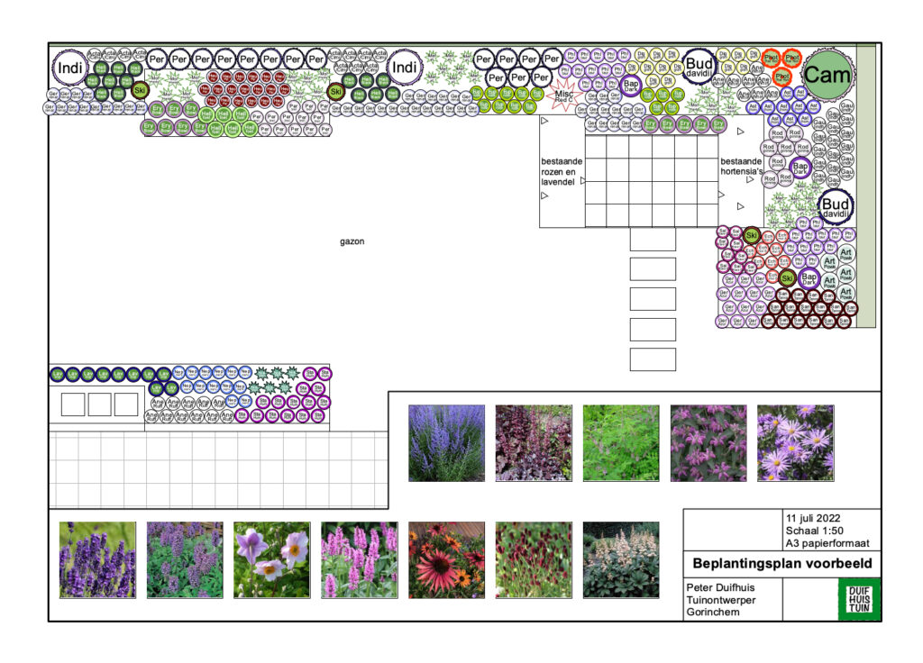 Beplantingsplan duifhuistuin